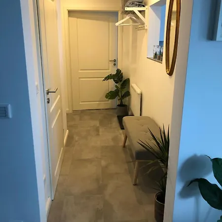 公寓 Iam 4 Betten 60 Qm Neu Modernisiert